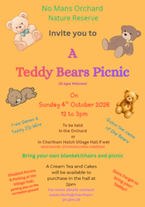 A poster for the Teddy Bears Picnic event